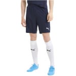 TEAMGOAL 23 KNIT повседневные шорты мужские синие Puma, синий - фото 3