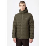 Куртка Dickies WALDENBURG MID LAYER, цвет military gr - фото