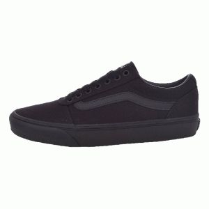 Active vans deals old skool