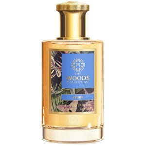 Духи The Woods Collection Azure