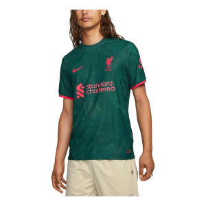 Футболка liverpool 22 2023 dri fit adv match 3rd jersey Nike, зеленый