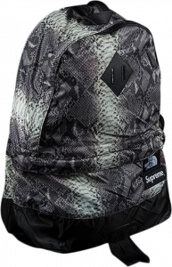 Supreme the north face snakeskin lightweight day pack store black
