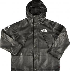 Supreme north face mountain parka sales retail