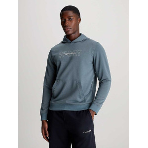 Толстовка Calvin Klein Performance PW GRAPHIC SWEAT HOODIE, синий