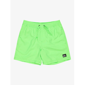 Шорты для плавания Quiksilver EVERYDAY SOLID VOLLEY YTH 14, зеленый