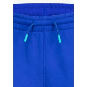 Спортивные штаны JUMPMAN BASELINE PANT UNISEX Jordan, синий