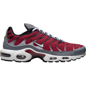 Кроссовки Nike Air Max Plus 'Team Red Cool Grey', красный