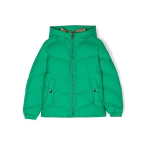 Woolrich Kids пуховик Authentic, зеленый