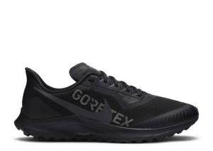 Air zoom pegasus 36 trail gore-tex 'black' 2025