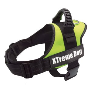 Шлейка для собак Arquivet Xtreme Неоново-зеленый XXL Arquivet, цвет желтый