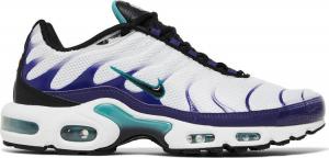Nike air vapormax sales plus grape for sale