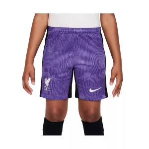 Шорты для выступлений на третьем стадионе Big Boys Purple Liverpool 2023/24 Nike, фиолетовый