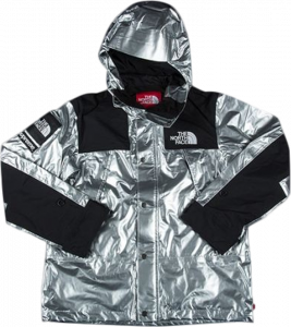Supreme x The North Face Metallic Mountain Parka Silver