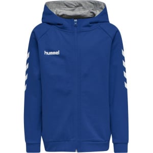 Худи Hummel Reißverschluss Cotton Hmlgo Multisport Kinder, цвет true blue