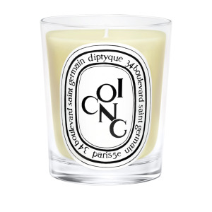 Ароматическая свеча Diptyque COING