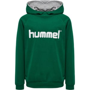 Худи Hummel Cotton Hmlgo Multisport Kinder, цвет evergreen