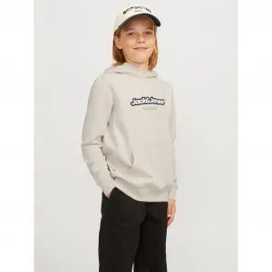 Детская толстовка с капюшоном Jack & Jones «JORVESTERBRO NEWTON BRNDG SWEAT BF JNR» Jack & Jones Junior, цвет Moonbeam