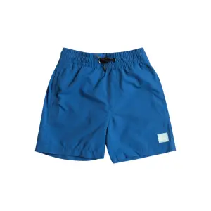 Купальные шорты Quiksilver «Everyday 13"», цвет Snorkel Blue