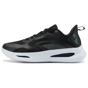 Кроссовки PEAK Lifestyle Shoes Men Low-top Black/White, черный/белый