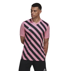 Футболка Adidas Performance Entrada 22 Graphic Jersey, розовый