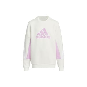 Толстовка GS Adidas, цвет Jade White