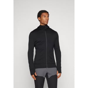 Толстовка на молнии MERINO 260 MID WEIGHT QUANTUM ZIP HOODIE Icebreaker, черный