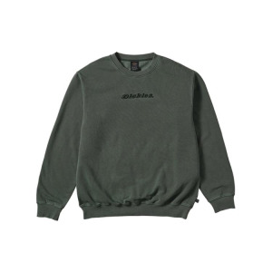 X JAKE HAYES Толстовка мужская Cyanidae Dyed Coniferous Green Dickies, зеленый