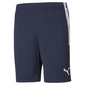 Тренировочные шорты PUMA "TEAMLIGA TRAINING SHORTS", белый