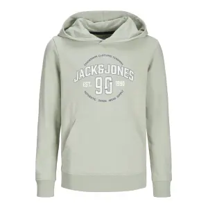 Детская толстовка Jack & Jones "JJMINDS SWEAT HOOD JNR" Jack & Jones Junior, цвет Desert Sage