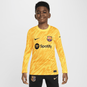 Джерси Nike FC Barcelona 2024 Stadium Goalkeeper, цвет Tour Yellow/Tour Yellow/University Gold/Black