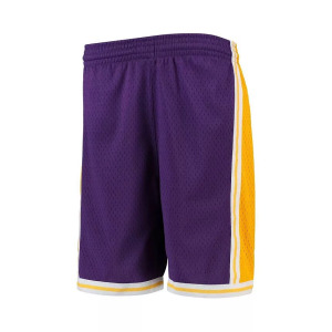 Молодежные шорты для мальчиков Mitchell & Ness Purple Los Angeles Lakers Hardwood Classics Swingman Shorts Nike, фиолетовый