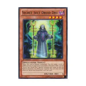 CCG Друид Тайной Секты Дрю (Обычный), Yu-Gi-Oh - Shadow Specters - Singles