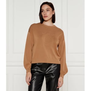 Толстовка Pinko EMPORIO Loose fit, коричневый