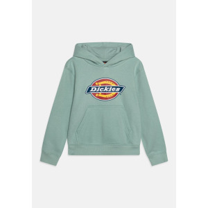 Толстовка с капюшоном YOUTH LOGO HOODIE UNISEX Dickies, бирюзовый