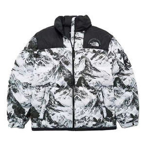 Пуховик THE NORTH FACE FW22 DOWN Jacket