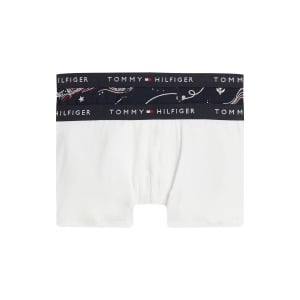 Фирменный принт боксеры, 2 шт в упаковке Tommy Hilfiger, белый