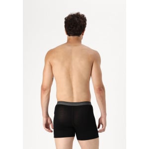 Брюки MEN MERINO 150 ANATOMICA BOXERS WFLY Icebreaker, черный