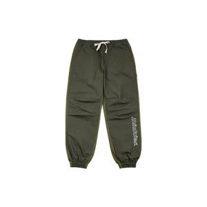 Мужские трикотажные спортивные штаны Dickies, цвет Army Green