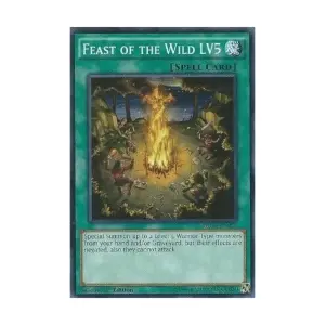 CCG Праздник дикой природы LV5 (Обычный), Yu-Gi-Oh - Duelist Alliance - Singles