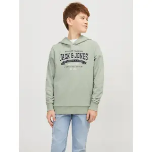 Детская толстовка Jack & Jones "JJELOGO SWEAT HOOD 2 COL 23/24 SN MNI" Jack & Jones Junior, цвет Desert Sage