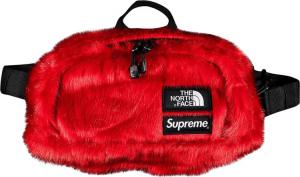 North face fanny pack clearance supreme