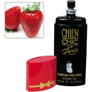 Женские духи Chien Chic Strawberry Perfume