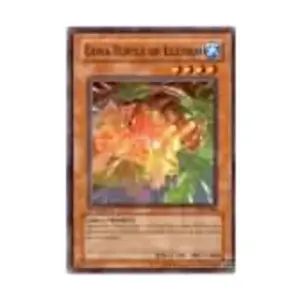 CCG Горская черепаха иллюзий (Обычная), Yu-Gi-Oh - Invasion of Chaos - Singles