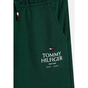 Спортивные штаны LOGO PUFF PRINT Tommy Hilfiger, темно-зеленый