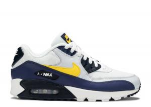 Nike air 2025 max 90 michigan