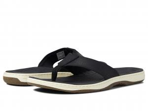 Sperry havasu new arrivals thong