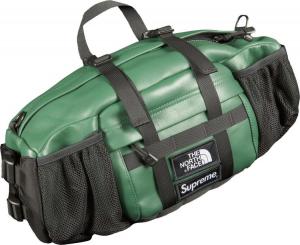 Supreme north face leather outlet backpack