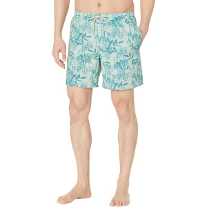 Плавки Quiksilver Waterman Loose Ways Volley 17", цвет Subtle Green