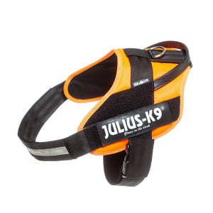 Шлейка Julius K9 IDC Stealthy UV Orange IDC для крупных собак л Julius K9