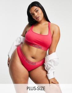 Calvin Klein Plus Size Reimagined